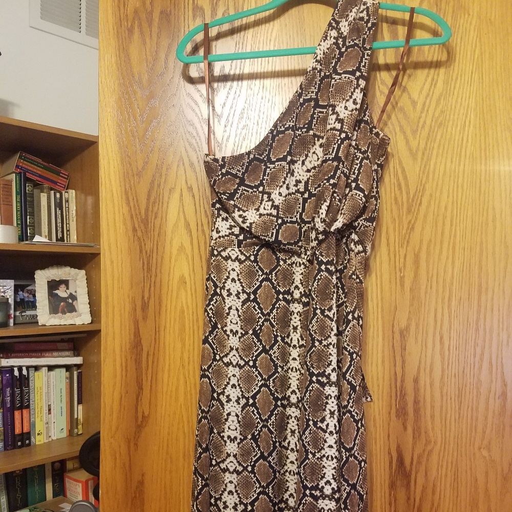 BCBGMaxAzria Brown Snake Print One-Shoulder Maxi Dress